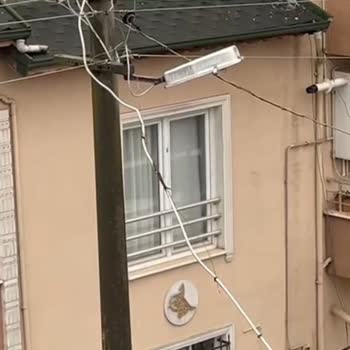 Kocaeli Kartepe'de Kırık Fincan Ve Yanmış Kablo Nedeniyle Çocuk Güvenliği Tehdidi