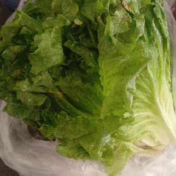 Bosch WGA142Z0TR/53 Modelinde Sürekli Arıza Ve Değişim İsteği