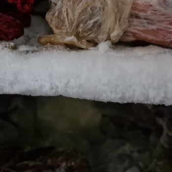 Arçelik Derin Dondurucuda Sürekli Karlanma Ve Tutarsız Servis Açıklamaları