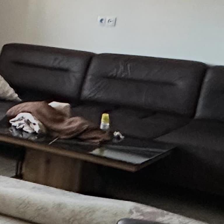 Garanti Süresi Dışı Kullanıcı Hatası İddiası Ve Ücretsiz Onarım Talebi