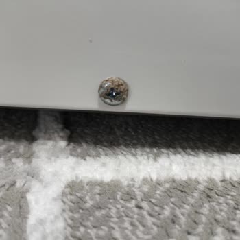 Arçelik Mikrodalga Fırında Küflü Vida Ve Yetersiz Müşteri Desteği