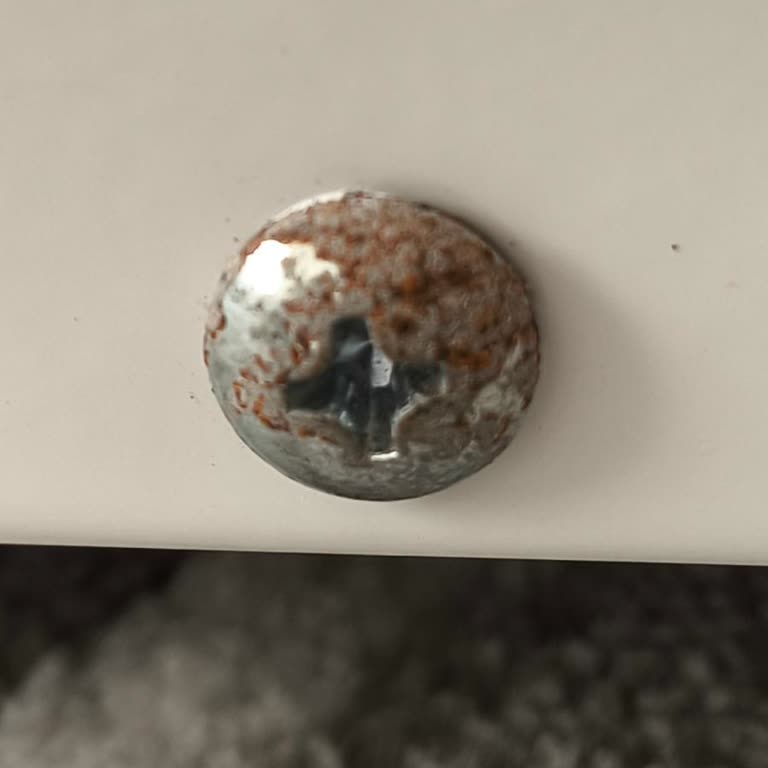 Arçelik Mikrodalga Fırında Küflü Vida Ve Yetersiz Müşteri Desteği