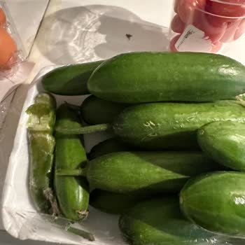 Migros Sanal Market’te Çürük Salatalık Teslim Edildi Ve İade Talebine Yanıt Gelmedi