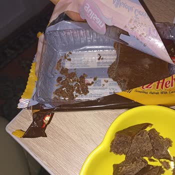 Gülsan Helvasında Çıkan Taş Annemin Boğazına Takıldı