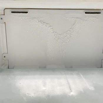 Silverline Buzdolabında Tekrarlayan Donma Ve Ses Sorunları İçin Çözüm Bekleniyor