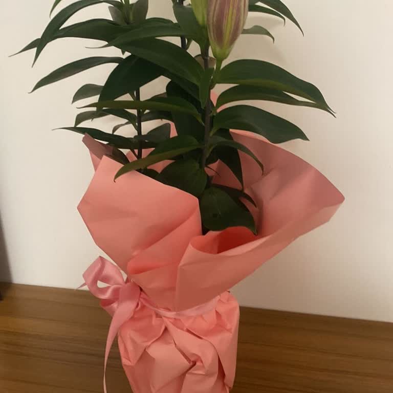 Fotoğrafı İle Uyuşmayan Çiçek Gönderimi Ve İade Talebi