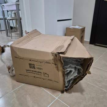 PTT Kargo Islak Koli Teslimi, Kuryenin Umursamaz Tutumu Ve İade Sorunları