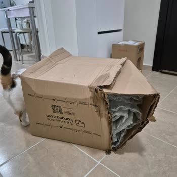 PTT Kargo Islak Koli Teslimi, Kuryenin Umursamaz Tutumu Ve İade Sorunları