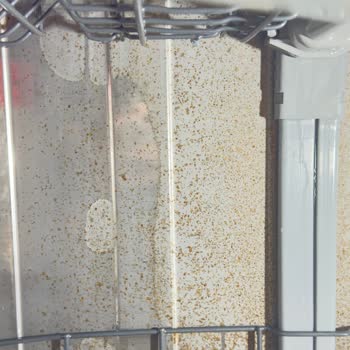 Vestel Bulaşık Makinesinde Tekrarlayan Paslanma Ve Kalıcı Çözüm Talebi