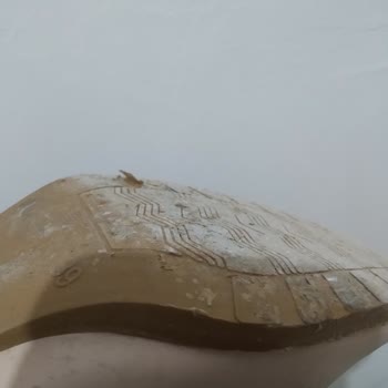 Tozlu.com Botunda Kalitesiz İşçilik Ve Erken Aşınma, İade Talebi