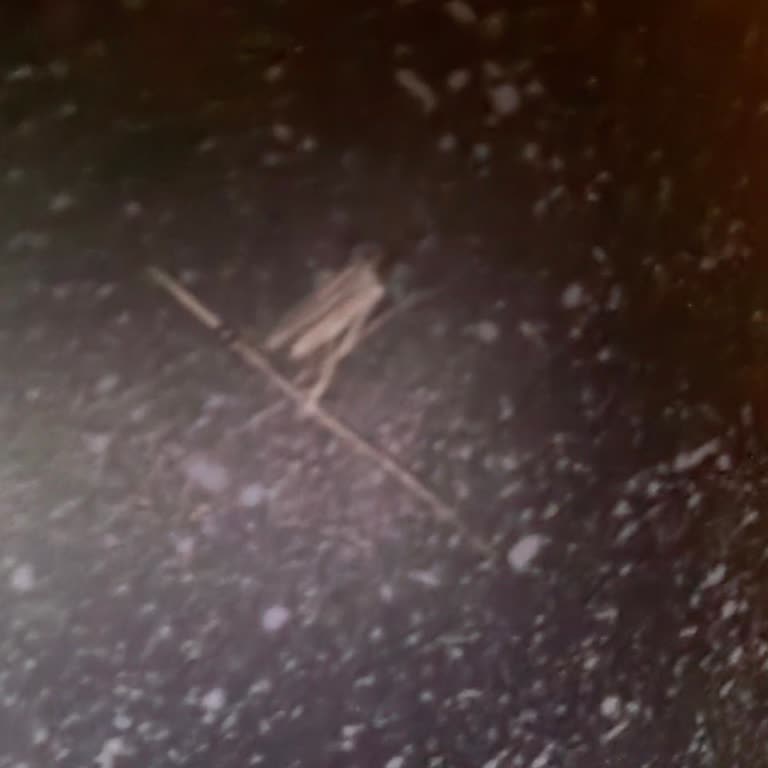 Migros Sanal Market'te Yanıltıcı Döküm Tencere İlanı Ve Ücret İadesi Talebi