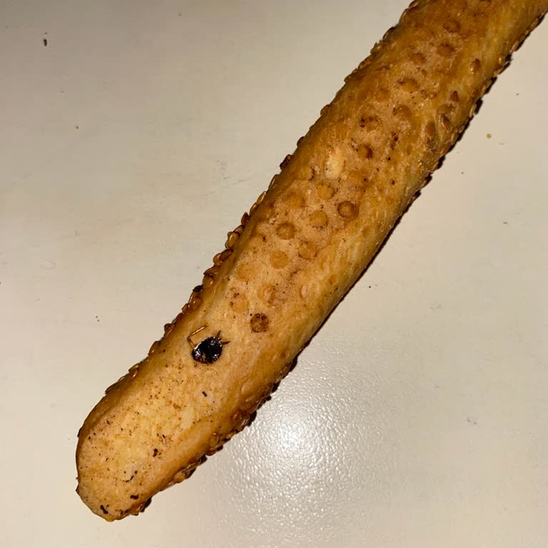 Simitte Ölü Böcek: Gıda Hijyeni Ve Güvenliği Konusunda Derin Endişe