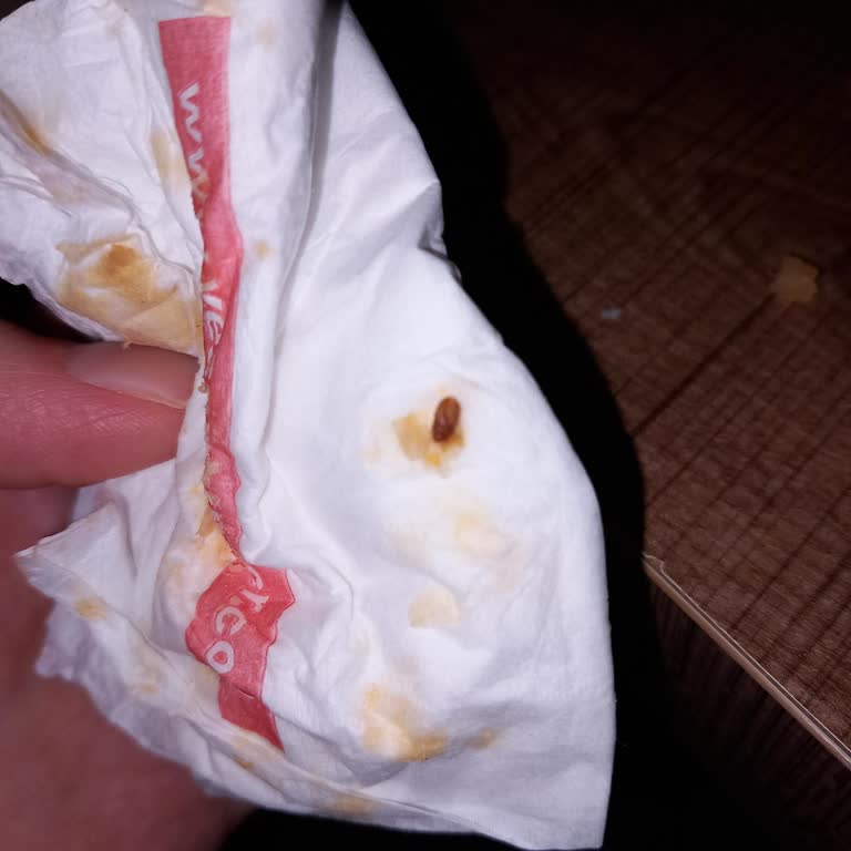 Harras Markalı Kuru Fasulyede Böcek Tespiti Ve İade Talebi