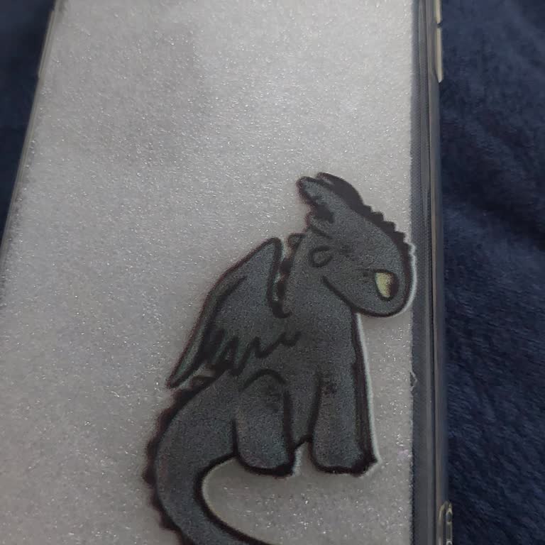 Yanlış Ve Kullanılmış Kılıf Gönderimi İçin Geri Ödeme Talebi