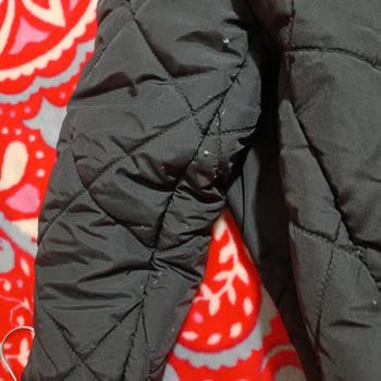 LCW Mağazasındaki Montun İç Elyaflarının Çıkması Ve Değişim Talebi