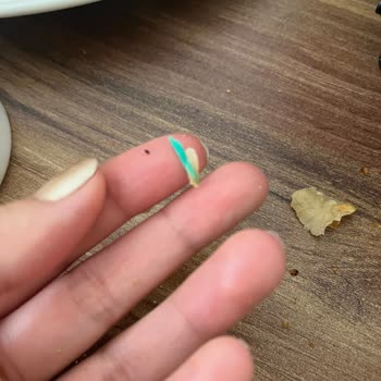 Superfresh Patatesli Rulo Börek’te Yabancı Madde Bulundu