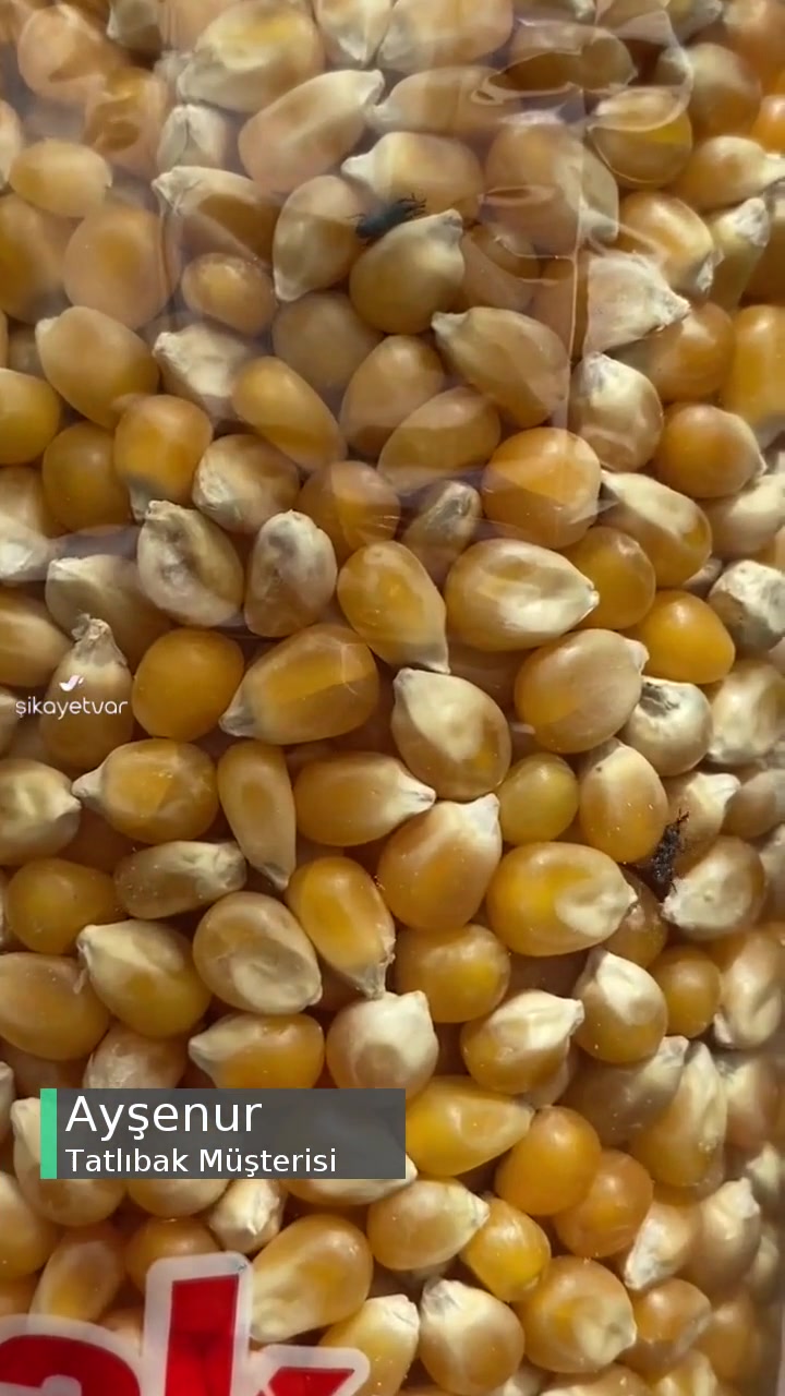 Tatlıbak Gereğinin Yapılmasını Arz Ve Rica Ederim! videonun kapak resmi