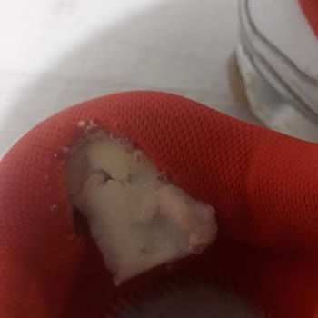 Nike Reax 8 İç Kısmı Yırtılan Ve Demir Batan Ayakkabı İçin Değişim Talebi