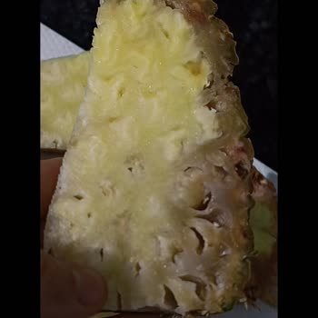 Bozuk Ananas Ürününün İadesi 9 Gün Boyunca Gecikti