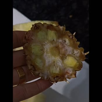 Bozuk Ananas Ürününün İadesi 9 Gün Boyunca Gecikti