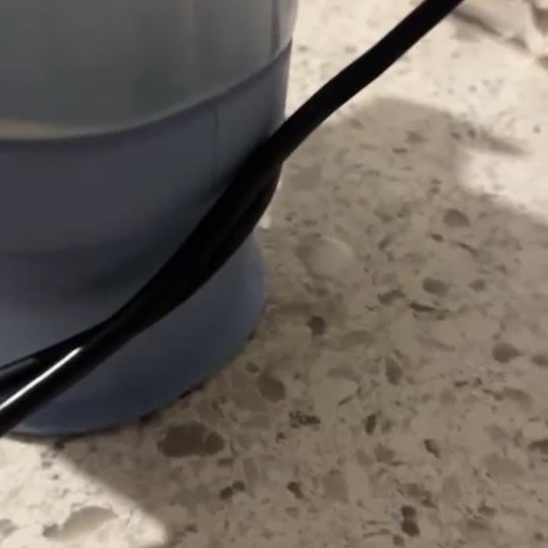 İlk Kullanımda Su Sızdıran Bissell Spot Clean Mini Cihazı İçin Değişim Talebi