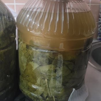 Reklam Yanıltması Ve Kalitesiz Salamura Ürünleri, Tam İade Talebi