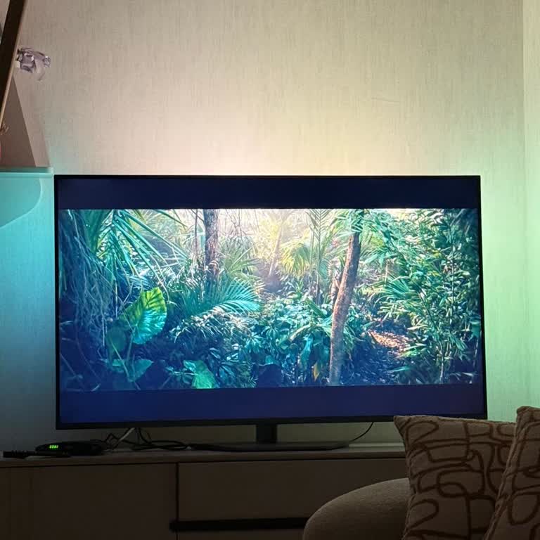 Philips 8900 Televizyonda Yarım Ekran, Donma Ve Kumanda Sorunları; İade Talebi