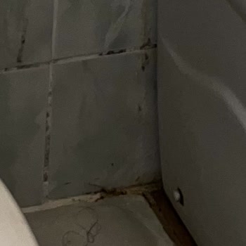Can Termal & Kaplıca Apart Hotel Hijyen Ve Temizlikte Yetersiz Bakım