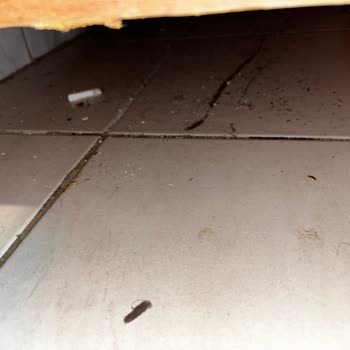 Can Termal & Kaplıca Apart Hotel Hijyen Ve Temizlikte Yetersiz Bakım