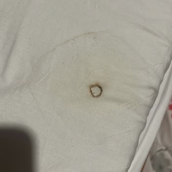 Can Termal & Kaplıca Apart Hotel Hijyen Ve Temizlikte Yetersiz Bakım