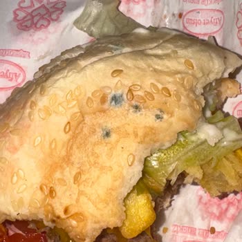 Marmaris Büfe 1964 Fikirtepe Şubesinde Küflü Ekmekli Cheeseburger ve Hijyen Sorunu