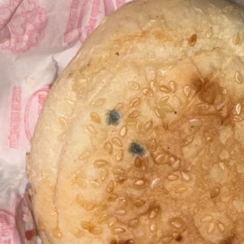 Marmaris Büfe 1964 Fikirtepe Şubesinde Küflü Ekmekli Cheeseburger ve Hijyen Sorunu