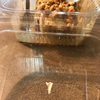 Kaymaklı Kadayıfın İçinden Plastik Parça Çıktı