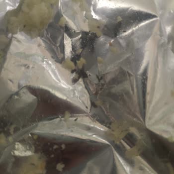 Patito Cipsinde Fare Dışkısı Bulunması Ve Halk Sağlığına Tehdit