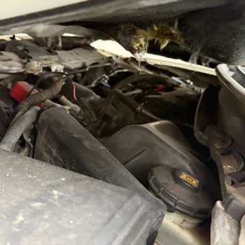 Hepiyi Sigorta Kaza Sonrası Ekspertiz Raporu Ve Araç Tesliminde Uzun Gecikme