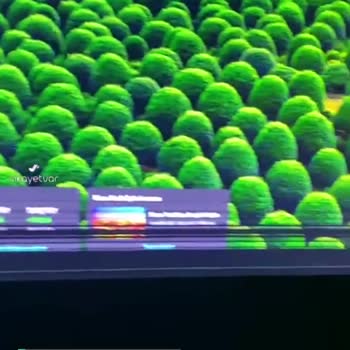 Asus Vg248qg Ölü Pixel Sorunu!