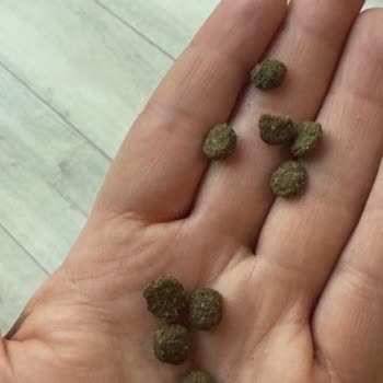 N&D Ocean Somonlu Kedi Mamasının Kalitesinde Şüphe Ve Petlebi’nin Yetersiz Yanıtı