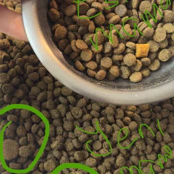 N&D Ocean Somonlu Kedi Mamasının Kalitesinde Şüphe Ve Petlebi’nin Yetersiz Yanıtı