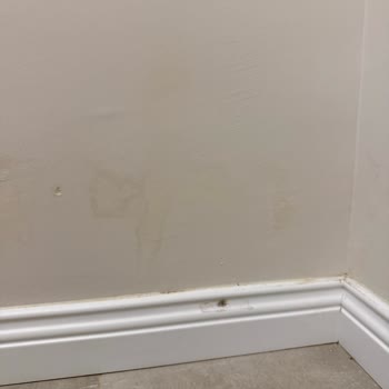 Geberit Montaj Hatası Sonrası Boya Kabarması Ve Cevapsız Müşteri Hizmetleri