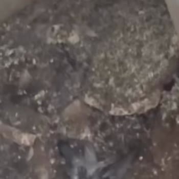 Fethiye City Aparts Klima Dış Ünitesine Çözüm Üretmiyor