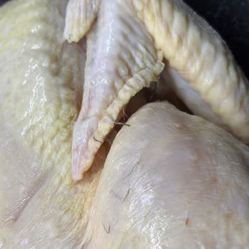 Bolez Köylüm Tavuk Ürününde Hijyen Sorunu Ve Cevapsız İletişim