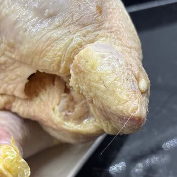 Bolez Köylüm Tavuk Ürününde Hijyen Sorunu Ve Cevapsız İletişim