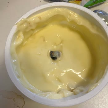 Sek Quark'ta Sert Siyah Yabancı Madde Bulunması