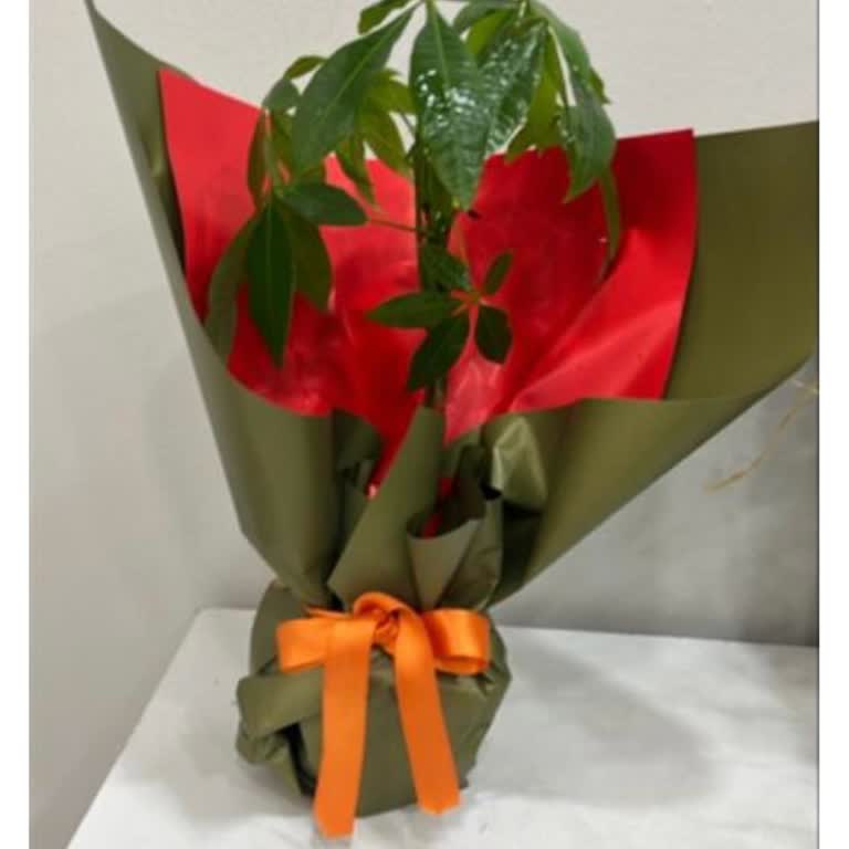 Ürün Görseliyle Uyuşmayan Çiçek Ve İptal Sürecinin Zorlaştırılması