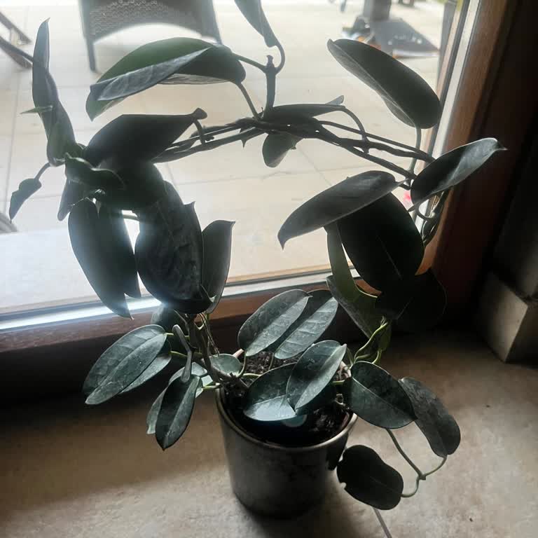 Yanıltıcı Görsellerle Satış Ve Cevapsız İade Talebi