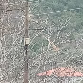 FixNet İnternet Bağlantısının Kesintisi Ve Çözülmemiş Arıza