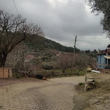 FixNet İnternet Bağlantısının Kesintisi Ve Çözülmemiş Arıza