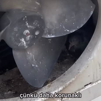 Fethiye City Aparts 10 Aydır Klimaların Izgarasız Şekilde Kullanılması