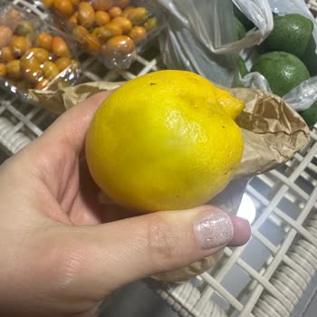 Avokadocu Ayşe Sipariş Ettiğim Ürünler Elime Çok Kötü Şekilde Ulaştı!