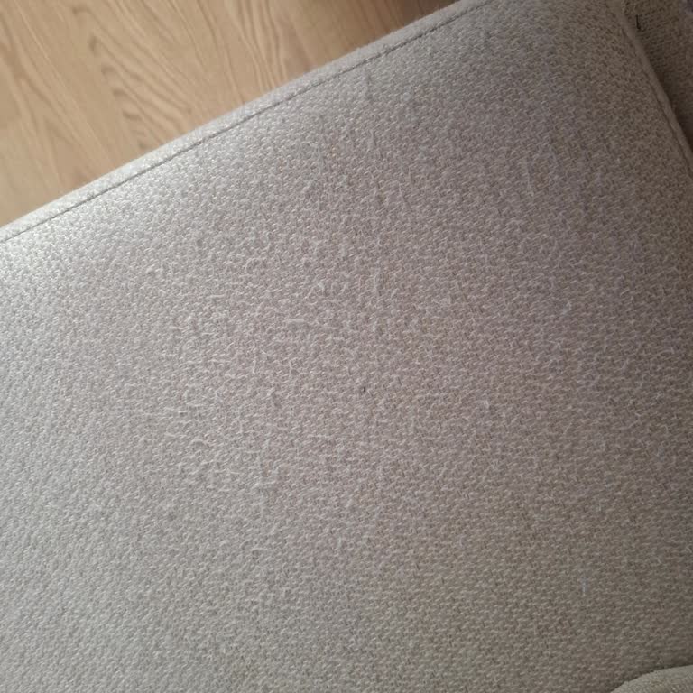 Kedi Dostu Koltukta Kumaş Sorunu Ve Saygısız Müşteri Temsilcisi